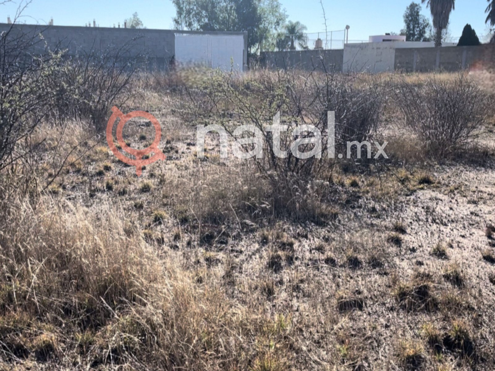 FOTO-14