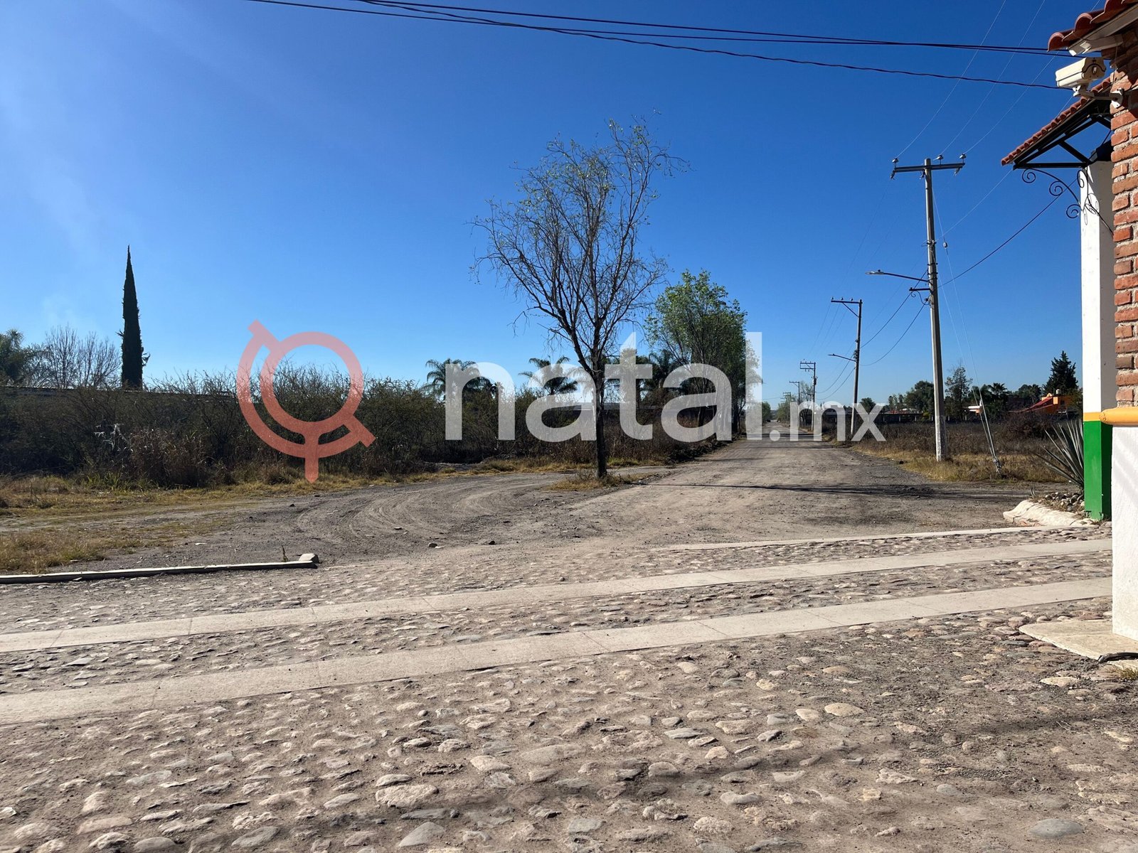 FOTO-2