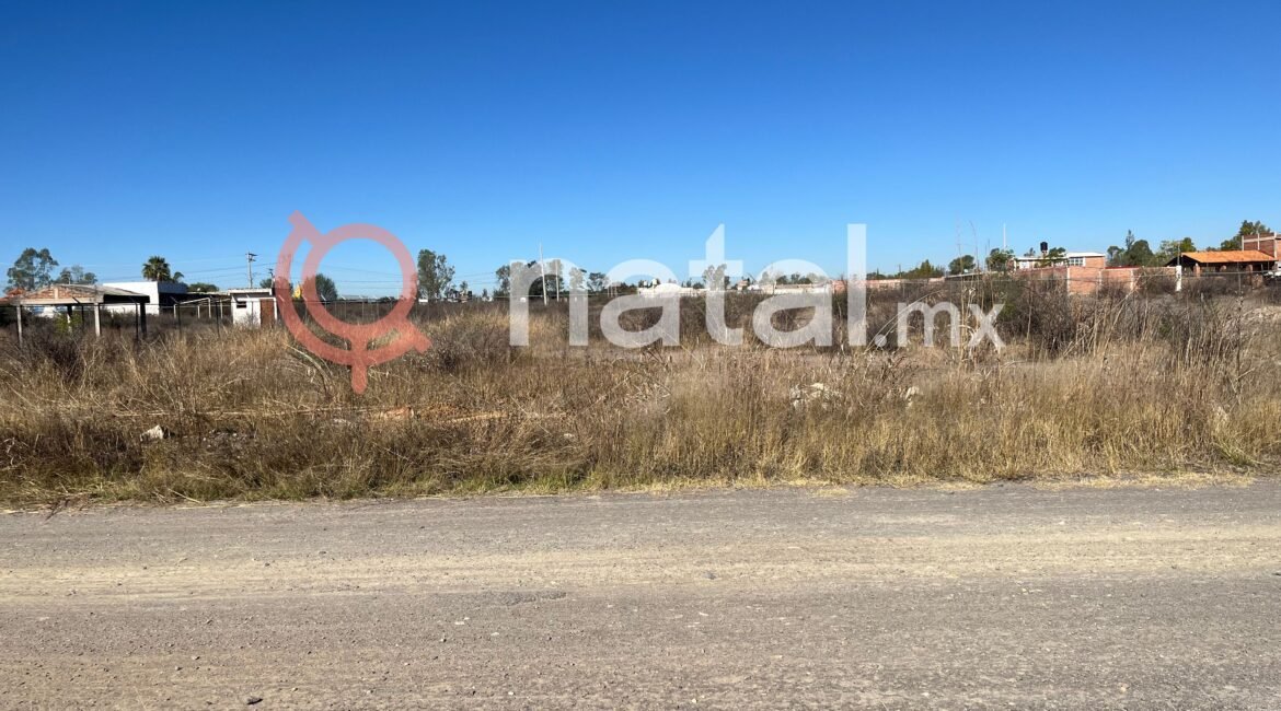 FOTO-6