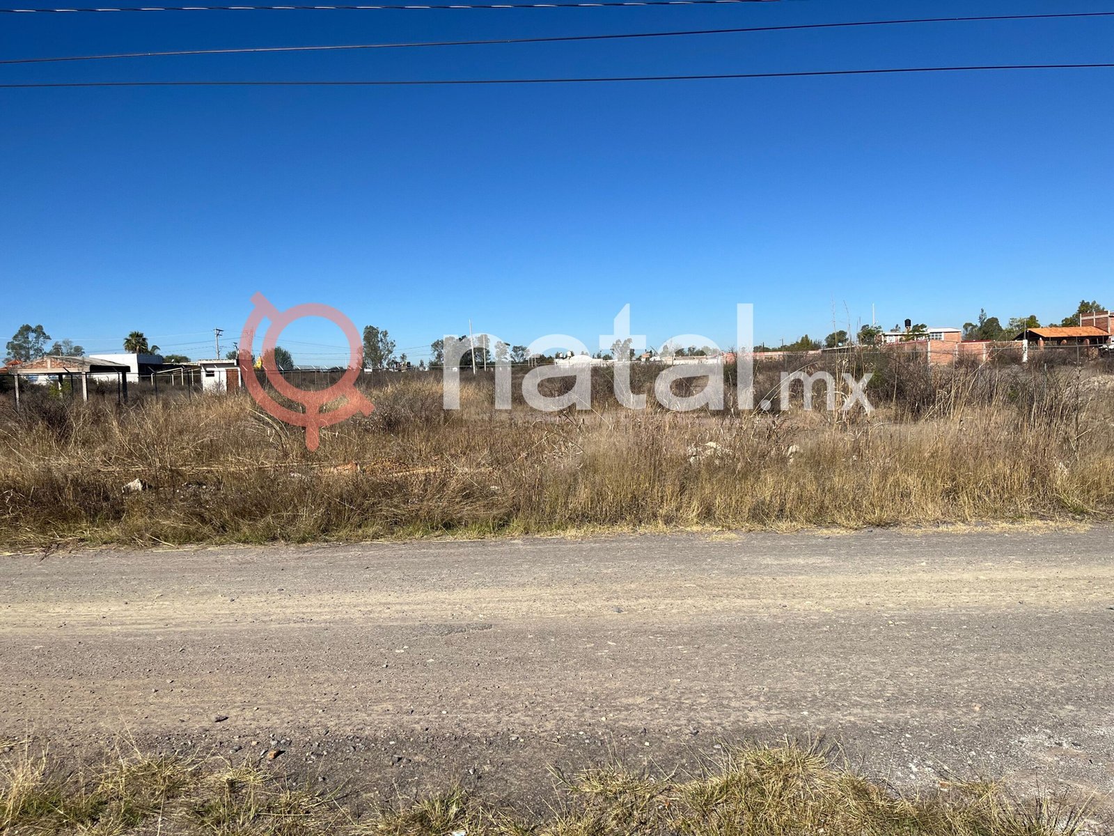 FOTO-6