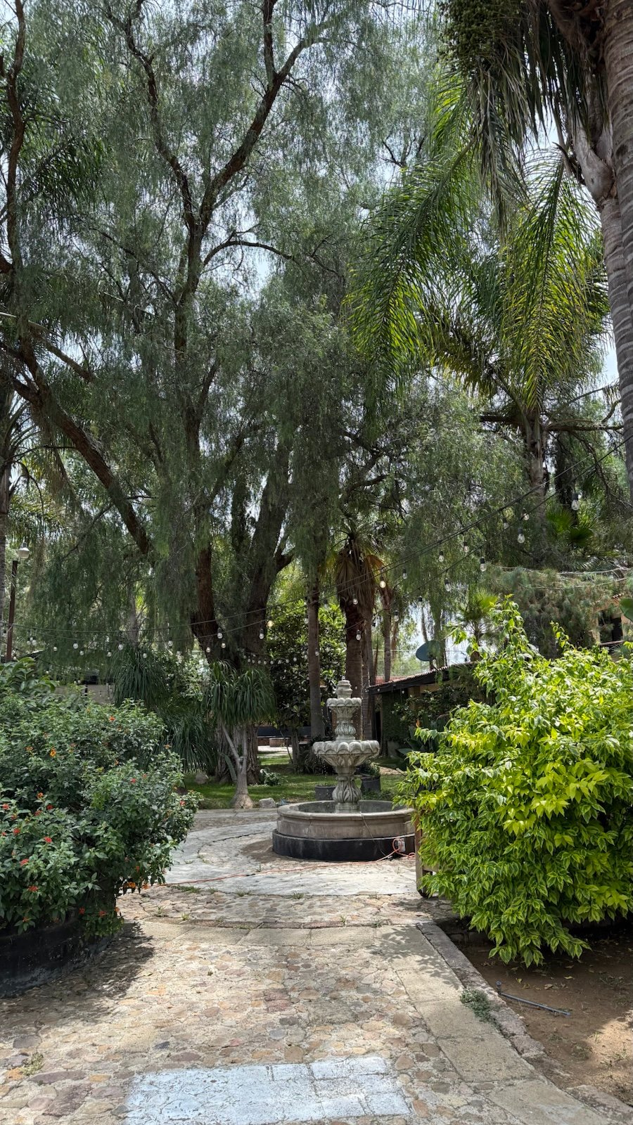 6D5C9C6B-2577-4F81-94B4-139FCF42222E