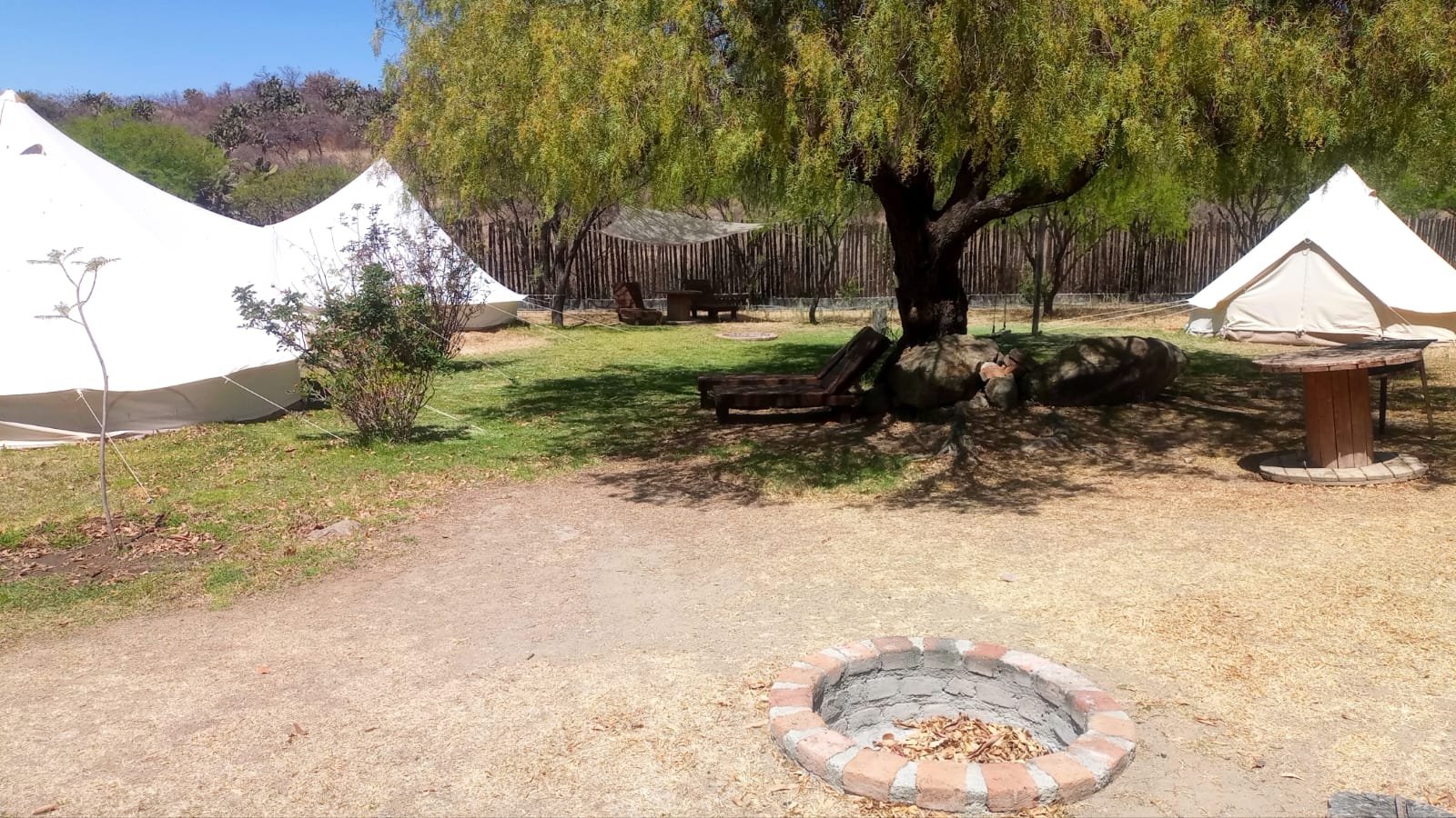 WhatsApp-Image-2026-04-01-at-7.58.15-PM