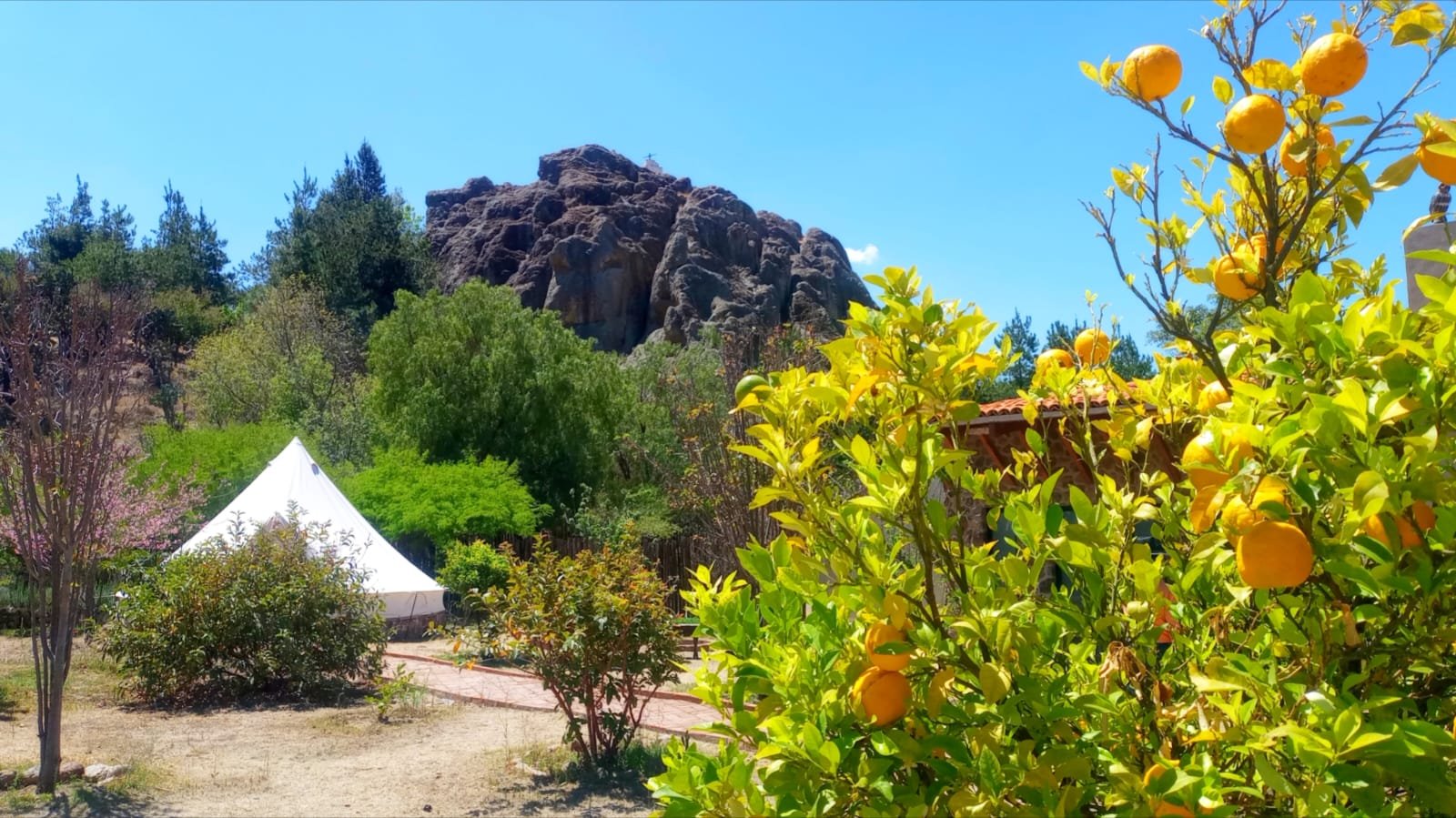 WhatsApp-Image-2026-04-01-at-7.58.16-PM-1