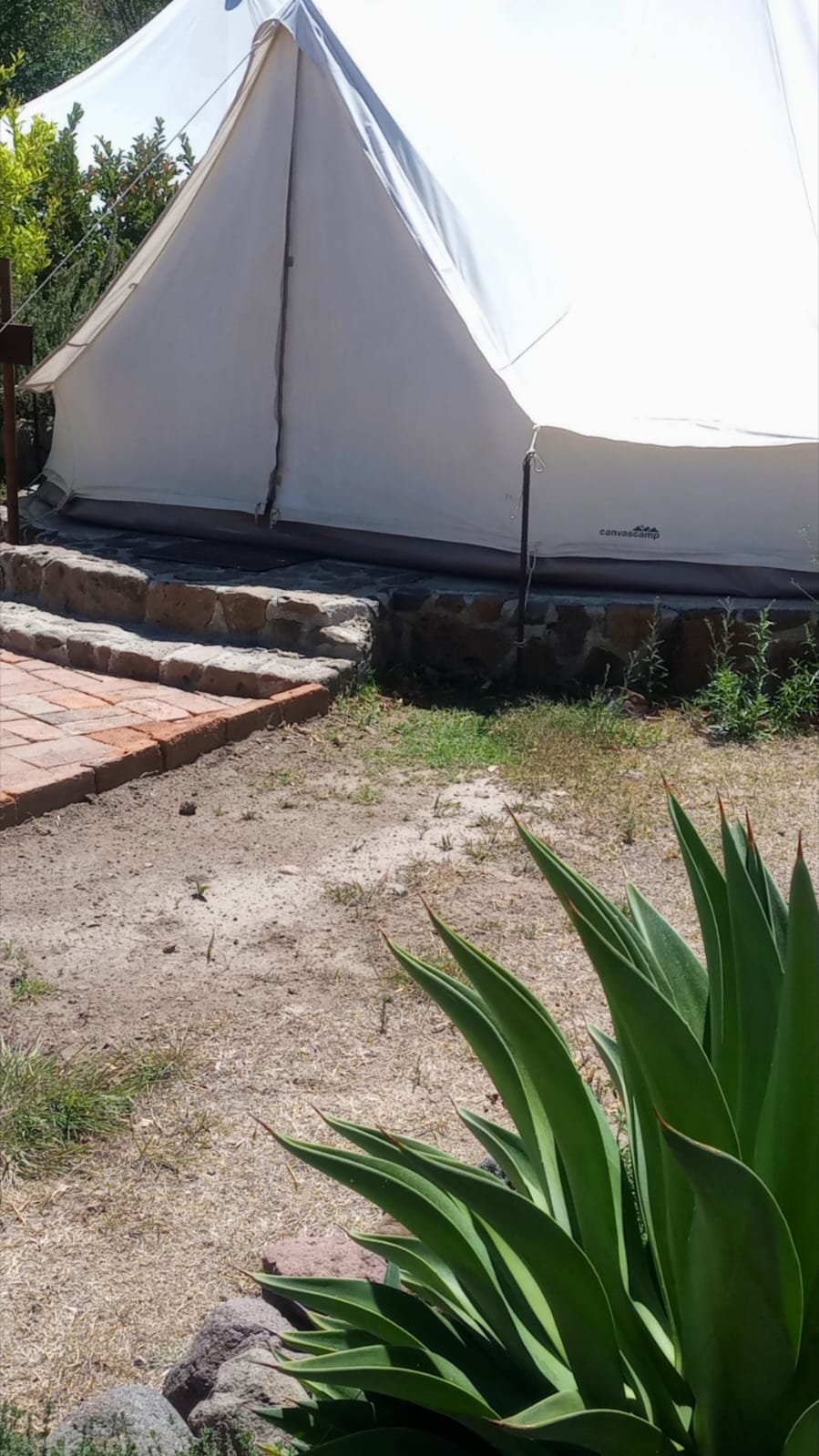 WhatsApp-Image-2026-04-01-at-7.58.16-PM