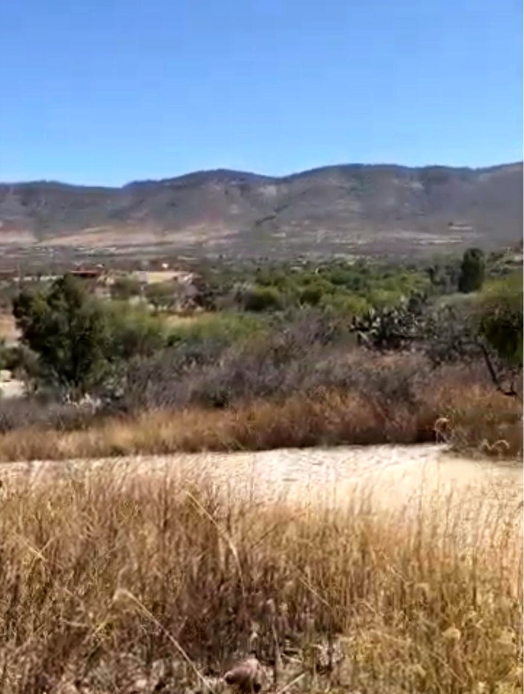 WhatsApp-Image-2026-04-01-at-7.58.17-PM-1