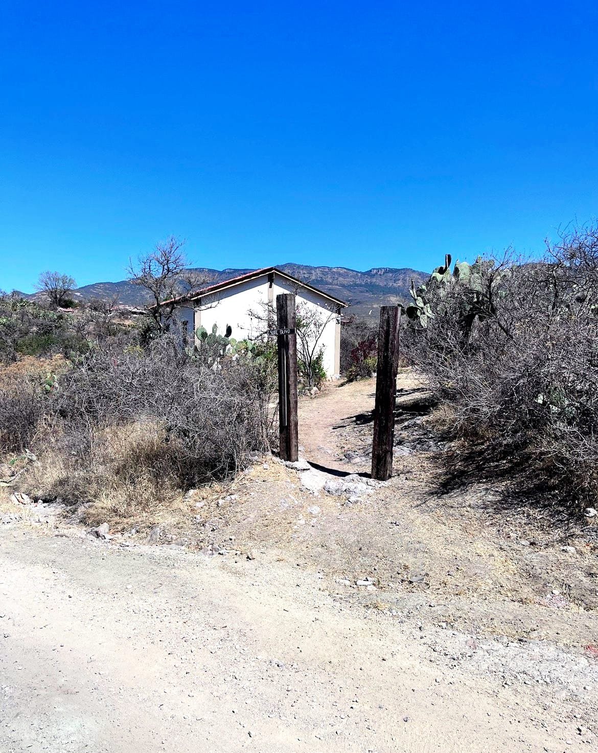 WhatsApp-Image-2026-04-01-at-7.58.17-PM-2