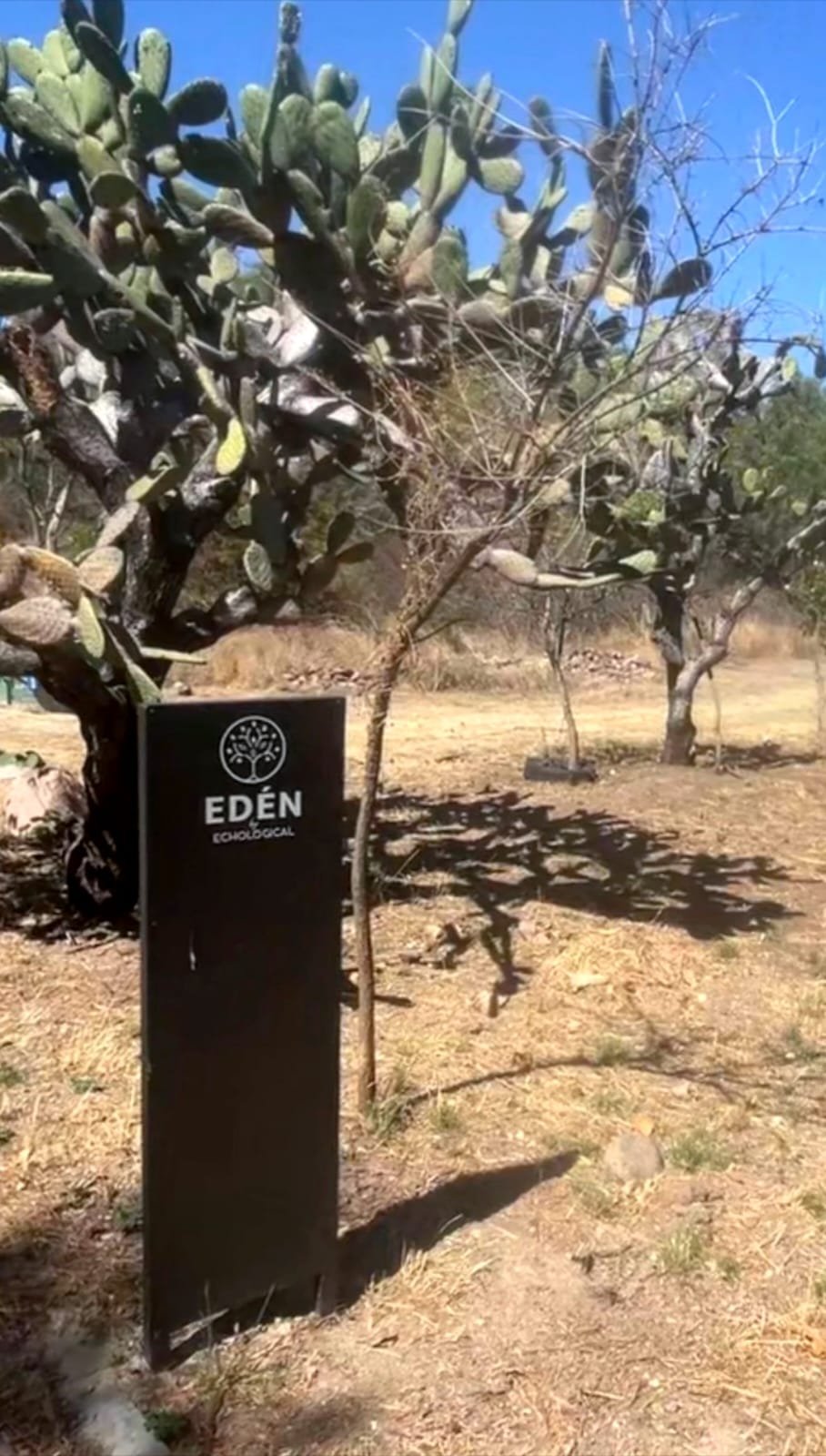 WhatsApp-Image-2026-04-01-at-7.58.17-PM-3