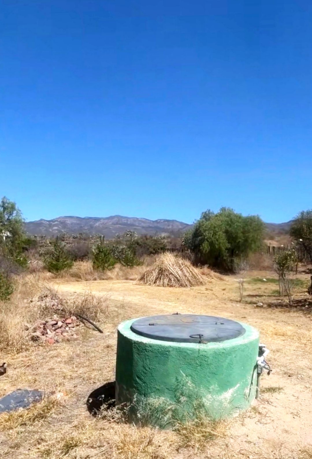 WhatsApp-Image-2026-04-01-at-7.58.17-PM