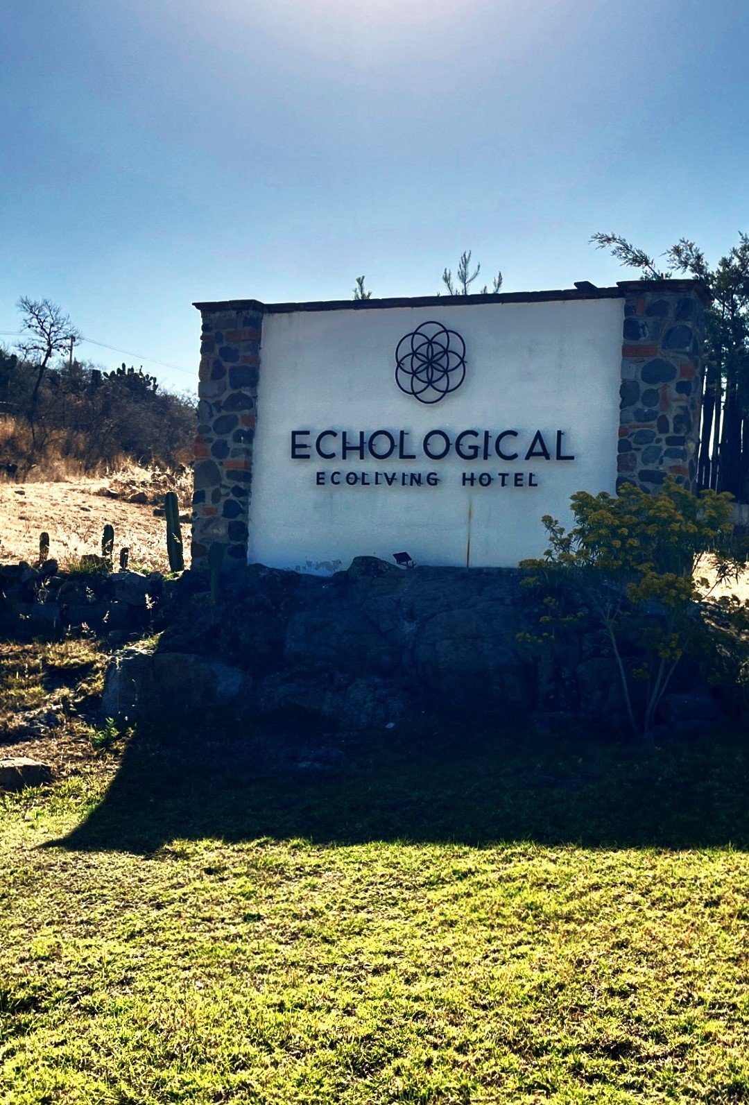 WhatsApp-Image-2026-04-01-at-8.03.04-PM-1